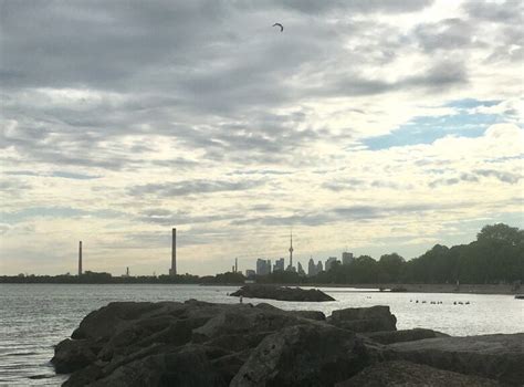 Lifeguards return to 9 beaches in Toronto to supervise swimming | CBC News