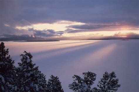 Snowmobiles in Yellowstone National Park: An American right, or wrong?