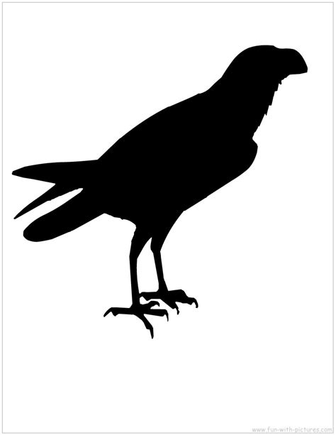 Buzzard Silhouette at GetDrawings | Free download