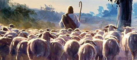 Jesus the Good Shepherd leads his sheep in John 10 | Psephizo