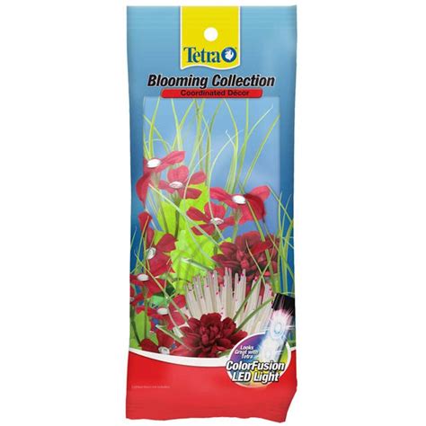 Tetra Blooming Collection Plants – Bay Bridge Aquarium