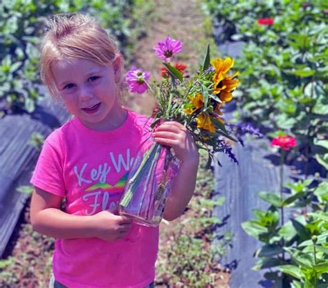 U-Pick Flowers - Stony Hill Farms - Chester, NJ