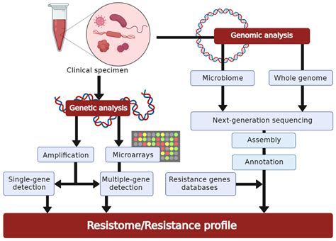 Antibiotics | Free Full-Text | Antimicrobial Susceptibility Testing: A Comprehensive Review of ...