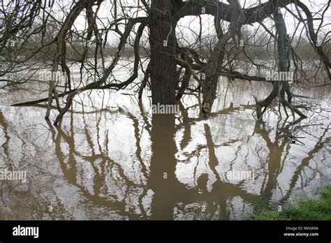 River Severn in Flood Stock Photo - Alamy