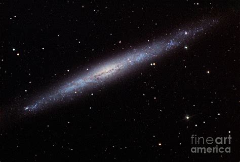 Spiral Galaxy Ngc 4244 Photograph by Noao/aura/nsf/science Photo Library