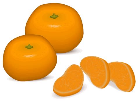 Tangerine image | Public domain vectors