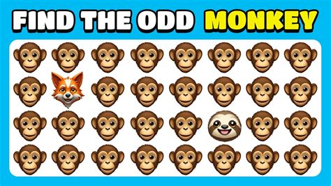 Find the ODD One Out - Animals NEW Edition 🐵🐼🦁 Easy, Medium, Hard ...