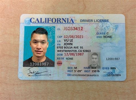 Fake California Drivers License Template