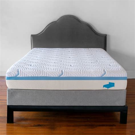 Mattress Encasement : Bed Bug Proof Premium Zippered Mattress ...