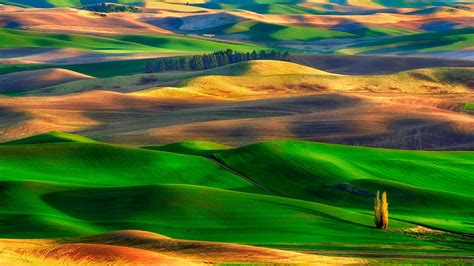 Colorful rolling hills in Palouse, Washington - backiee