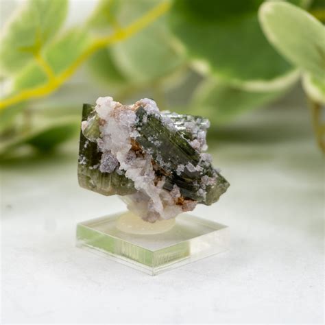 Watermelon Tourmaline #3 - The Crystal Council