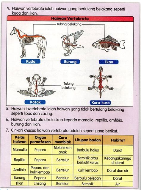 Ciri - ciri Khusus Haiwan Vertebrata | Quizizz