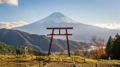 Torii Gate in the Sky : r/pics