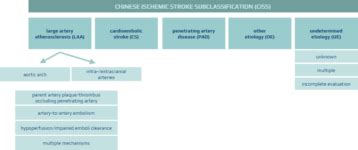 Bamford/Oxford Classification Of Ischemic Stroke | STROKE MANUAL