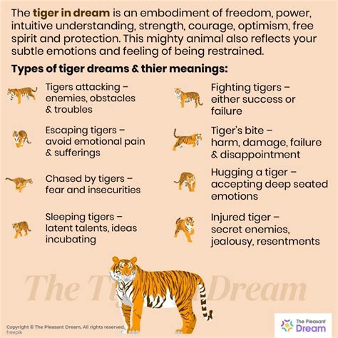 Tiger Dream Meaning – 40 Types of It & Their Interpretations