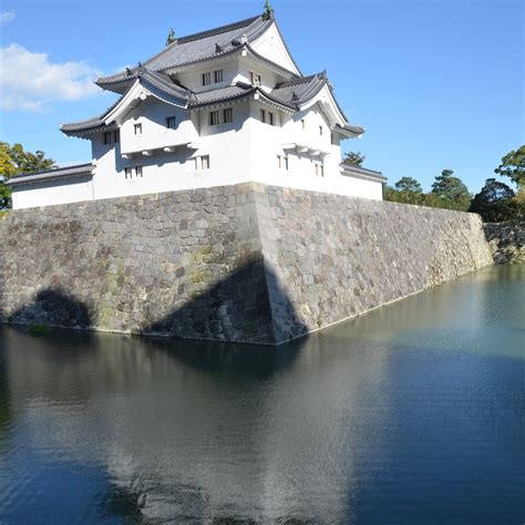 Shizuoka castle - All You Need to Know BEFORE You Go (2024)