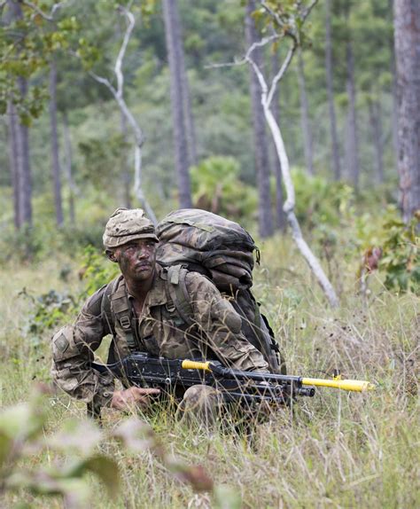 Jungle warfare: a coy, 2nd battalion the princess of wales’s royal regt ...