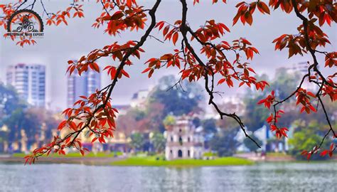 Best Time to Join Hanoi Tours: What You Need to Know