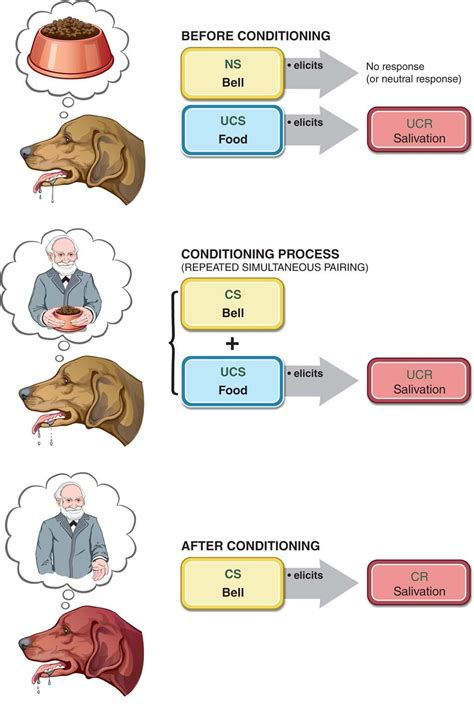 Log On to Constellation | Bcba, Applied behavior analysis, Behavior ...