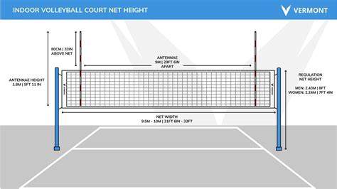 Guide To Volleyball Court Dimensions & Lines | Net World Sports