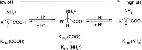 Different state of protonation for amino acids at different pH values.... | Download Scientific ...