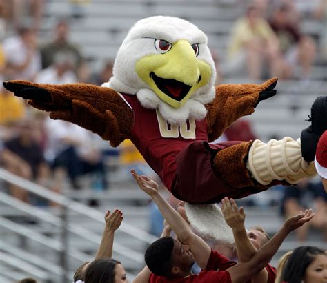 Boston College introduces live eagle mascot