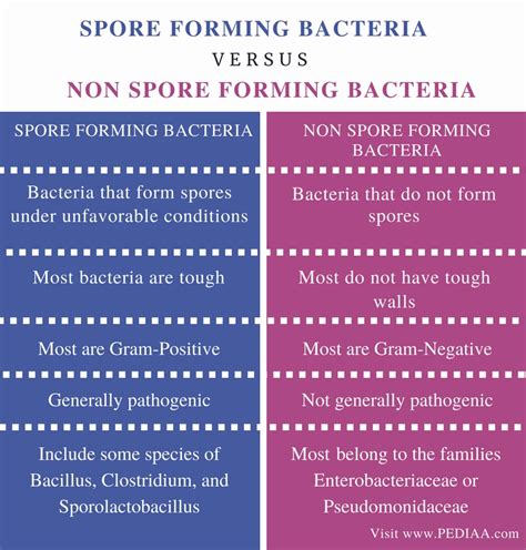 Endospore Forming Bacteria List