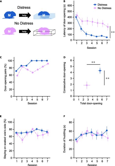 Prairie voles show prolonged latency of door-opening behavior toward... | Download Scientific ...