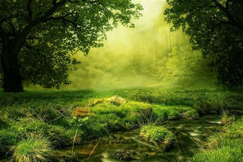 Free download | HD wallpaper: landscape photo of green grass field and trees, glade, forest ...