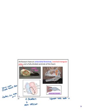 Ch 13 Arthropoda Anatomy - 1 Arthropoda ... rulers of the world en.wikipedia The aim of this ...