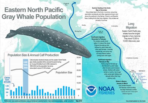 Killer Whale Migration Map