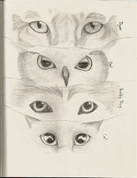 Animals [Drawing practice] by AzamiSato on DeviantArt