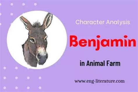 Character Analysis of Benjamin in Animal Farm