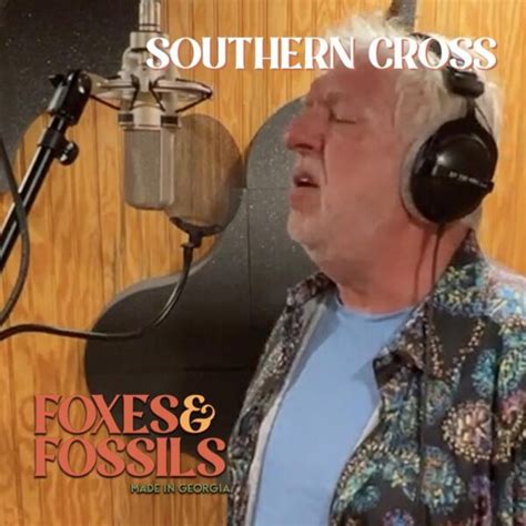 Southern Cross – Crosby, Stills, and Nash Cover | Foxes and Fossils®