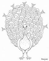 Birds Coloring Pages  Pitara Kids Network sketch template