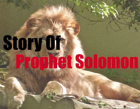 Story of Prophet Sulaiman (Solomon) in Islam (PBUH) - My Islam