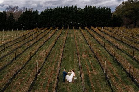 15+ Beautiful Vineyard Wedding Photos - Wedding Maps