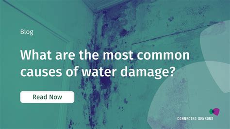 What Are the Most Common Causes of Water Damage