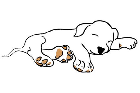 Sleeping Baby Drawing Images – Browse 69,134 Stock Photos, Vectors, and Video | Adobe Stock