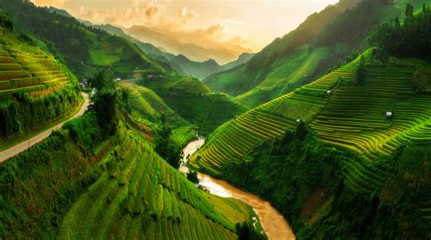 ‘Fly’ over golden rice fields at Mu Cang Chai’s paragliding festival | Vietnam Tourism