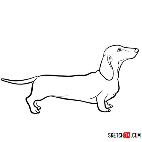 Weenie Dog Drawing | Free download on ClipArtMag