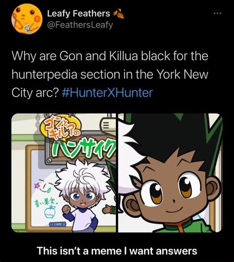 Why are Gon and Killua black for the hunterpedia section in the York ...