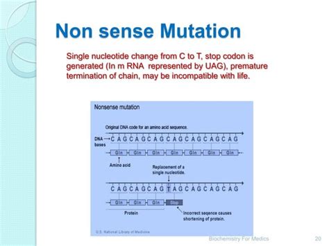 Genetic code