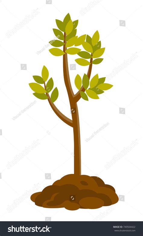 Tree Growing Soil Vector Cartoon Illustration Stock Vector (Royalty Free) 749504422 | Shutterstock