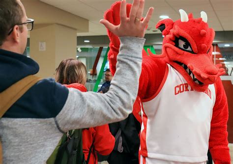 SUNY Cortland College | Branding & Identity Design