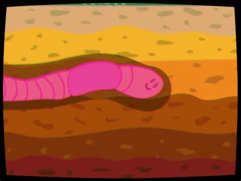 Earthworm GIFs - Get the best GIF on GIPHY
