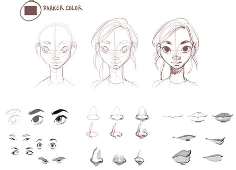 How to Draw Female Faces — Beautiful, symmetrical female faces are easy to draw once you ...