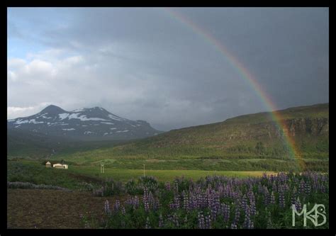 Iceland - Rainbow - Traveling Rockhopper