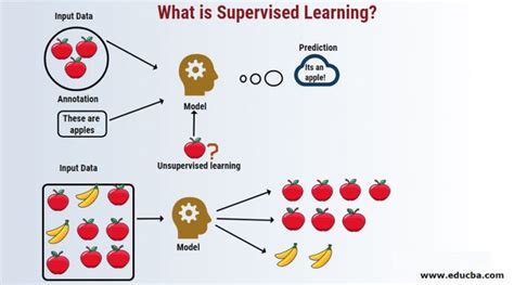 The Simple Terms Of Supervised And Unsupervised Learning 8EB