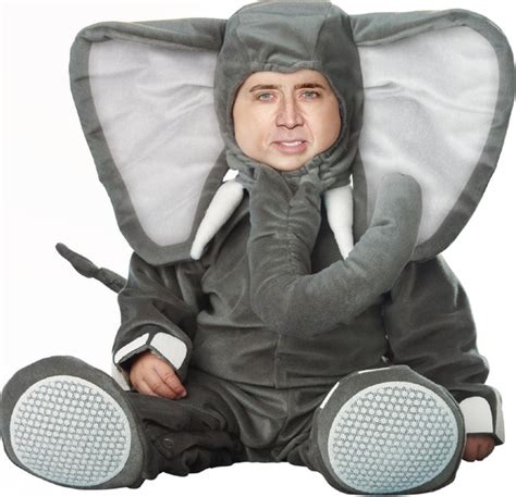 Cage the Elephant - Meme Guy